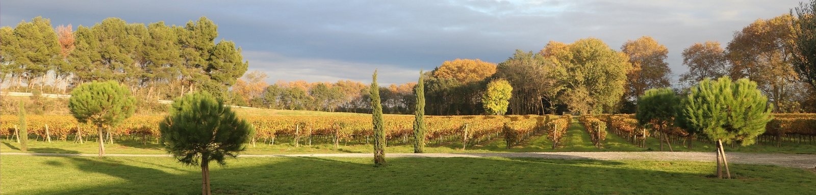 Paysage d'Occitanie - Location gîte